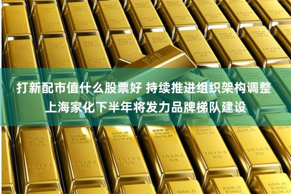 打新配市值什么股票好 持续推进组织架构调整 上海家化下半年将发力品牌梯队建设